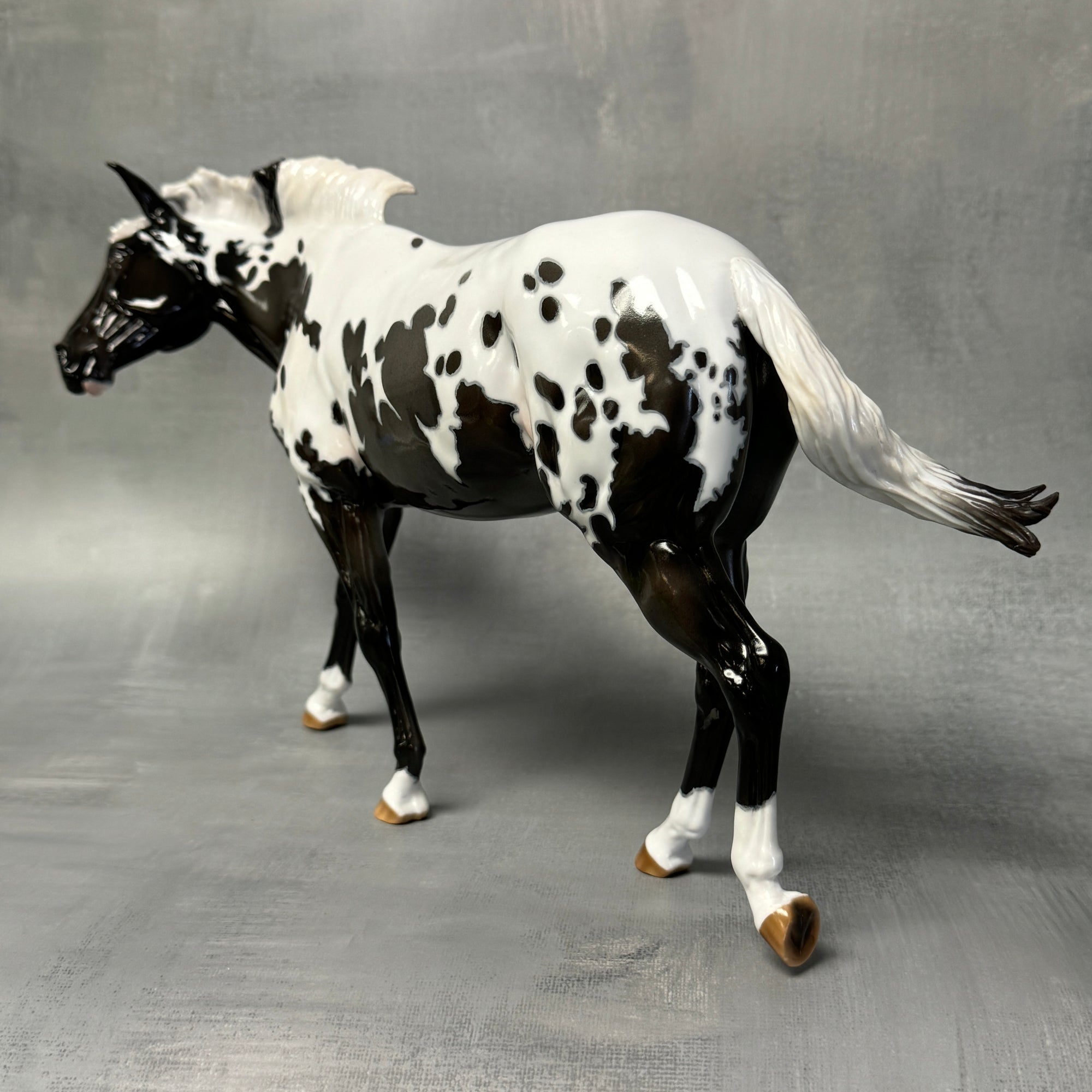 Sprinkles SAMPLE Extreme Custom Pintaloosa Mule By Ashley Palmer - SS824