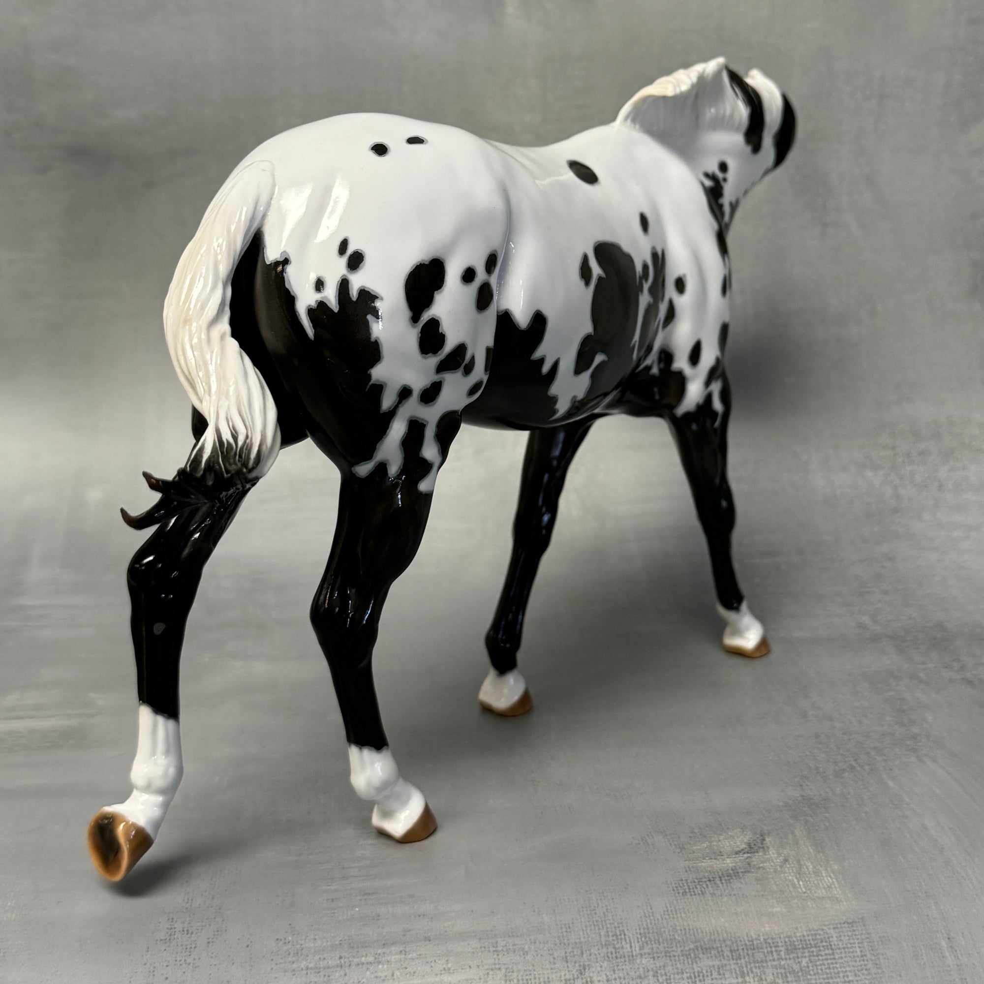 Sprinkles SAMPLE Extreme Custom Pintaloosa Mule By Ashley Palmer - SS824