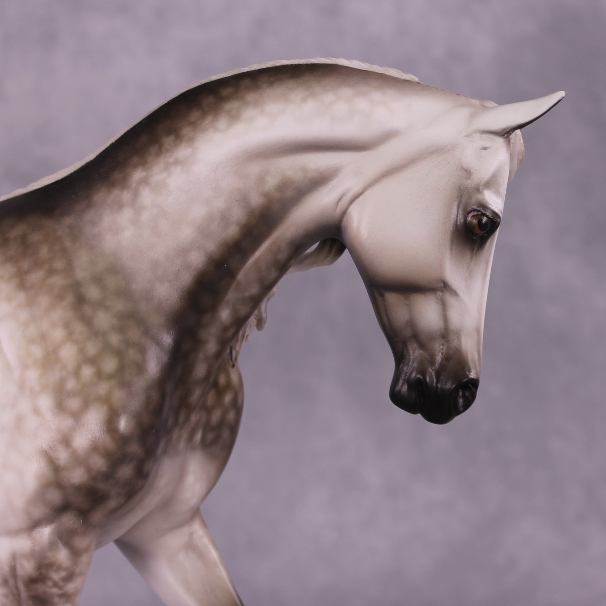 "LaSalle Explorer" OOAK FCM Thoroughbred by Sheryl Leisure Best Offer 6/18/25