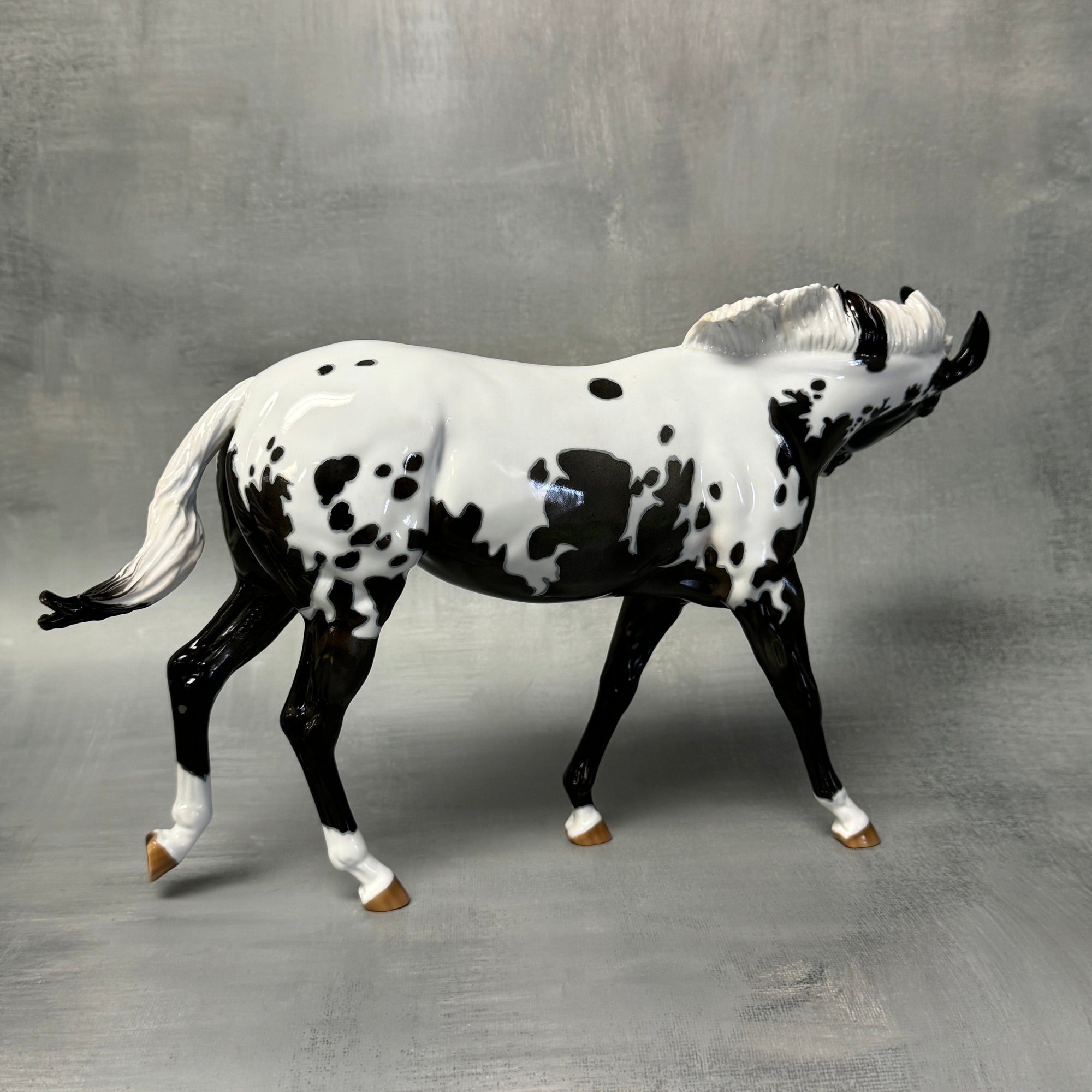 Sprinkles SAMPLE Extreme Custom Pintaloosa Mule By Ashley Palmer - SS824