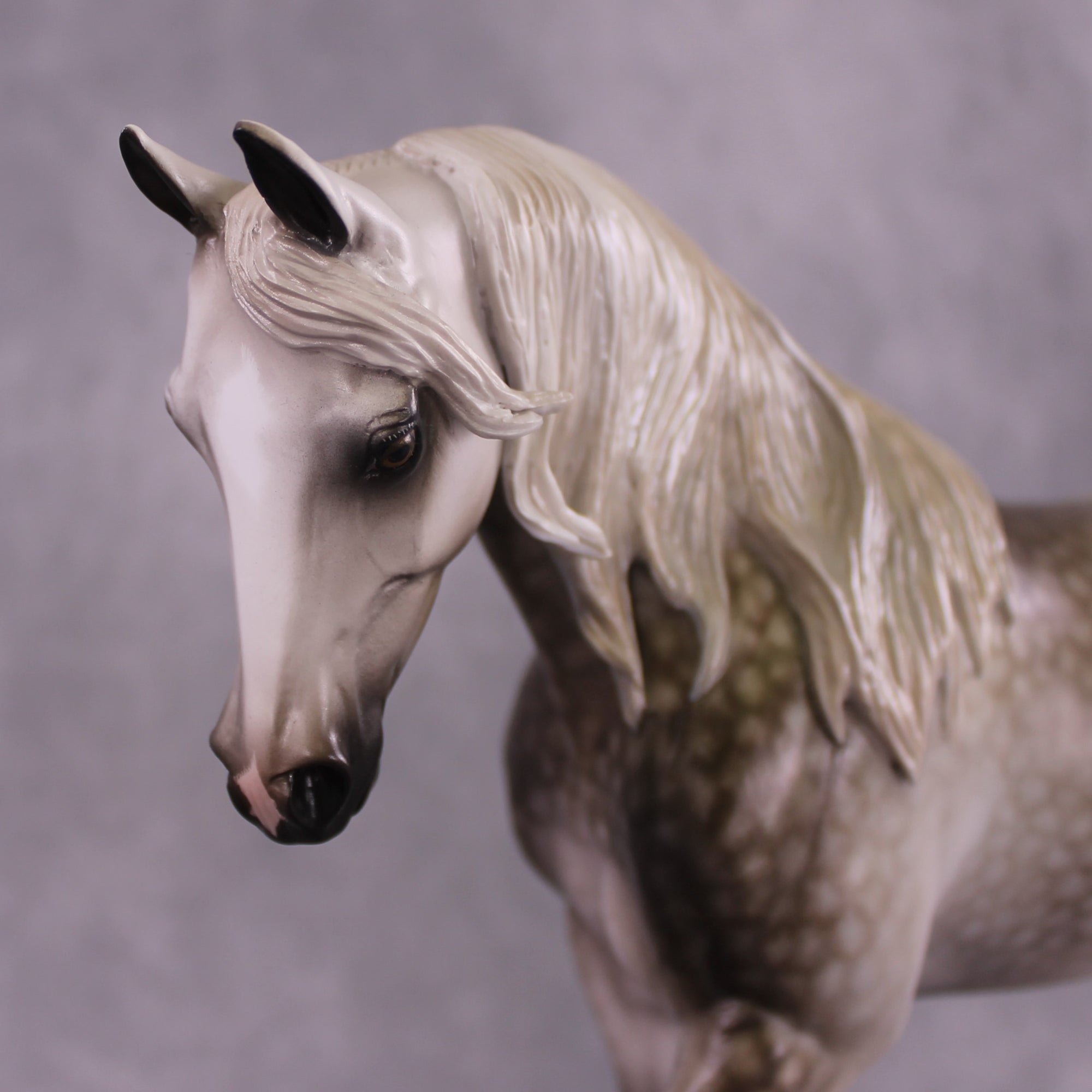 "LaSalle Explorer" OOAK FCM Thoroughbred by Sheryl Leisure Best Offer 6/18/25