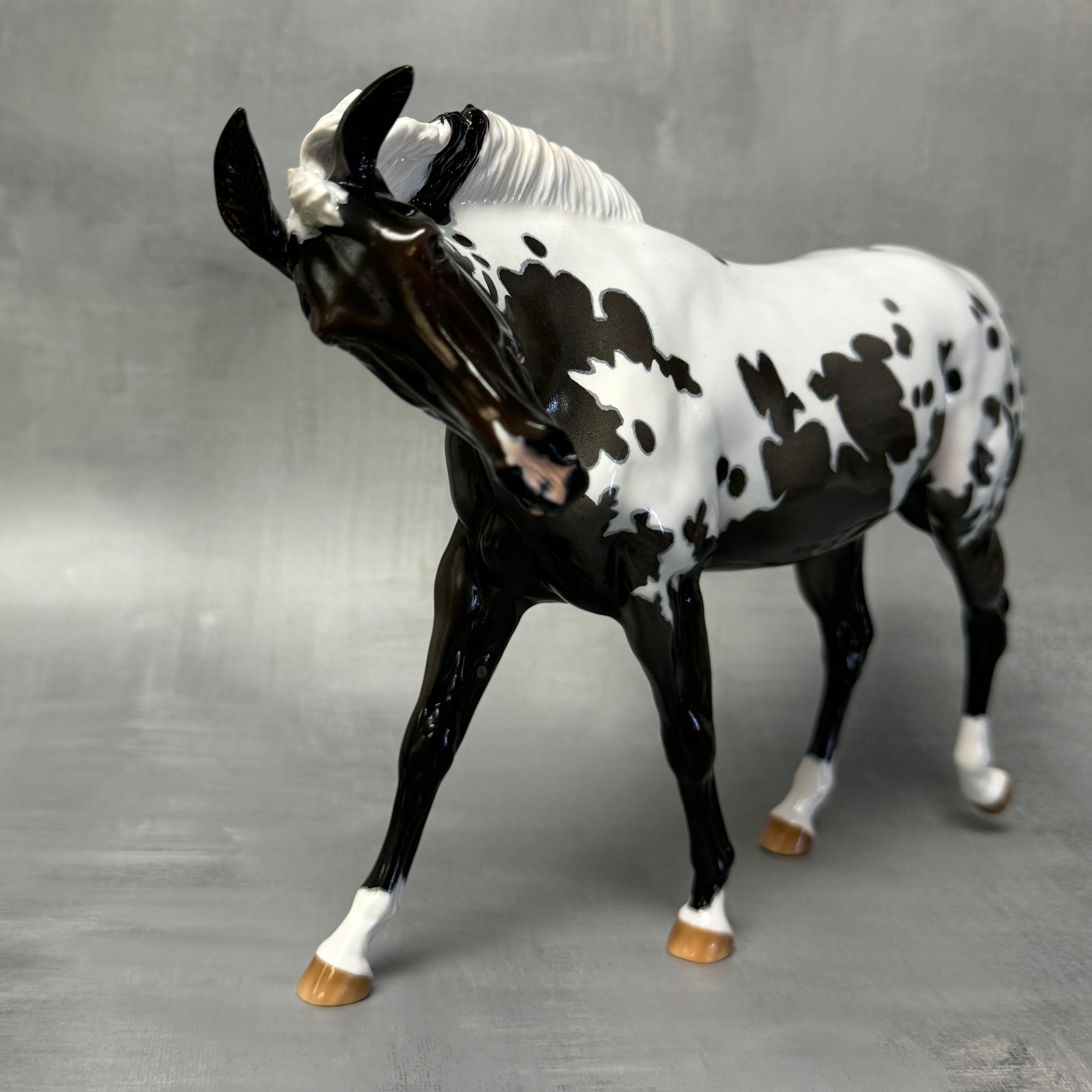 Sprinkles SAMPLE Extreme Custom Pintaloosa Mule By Ashley Palmer - SS824