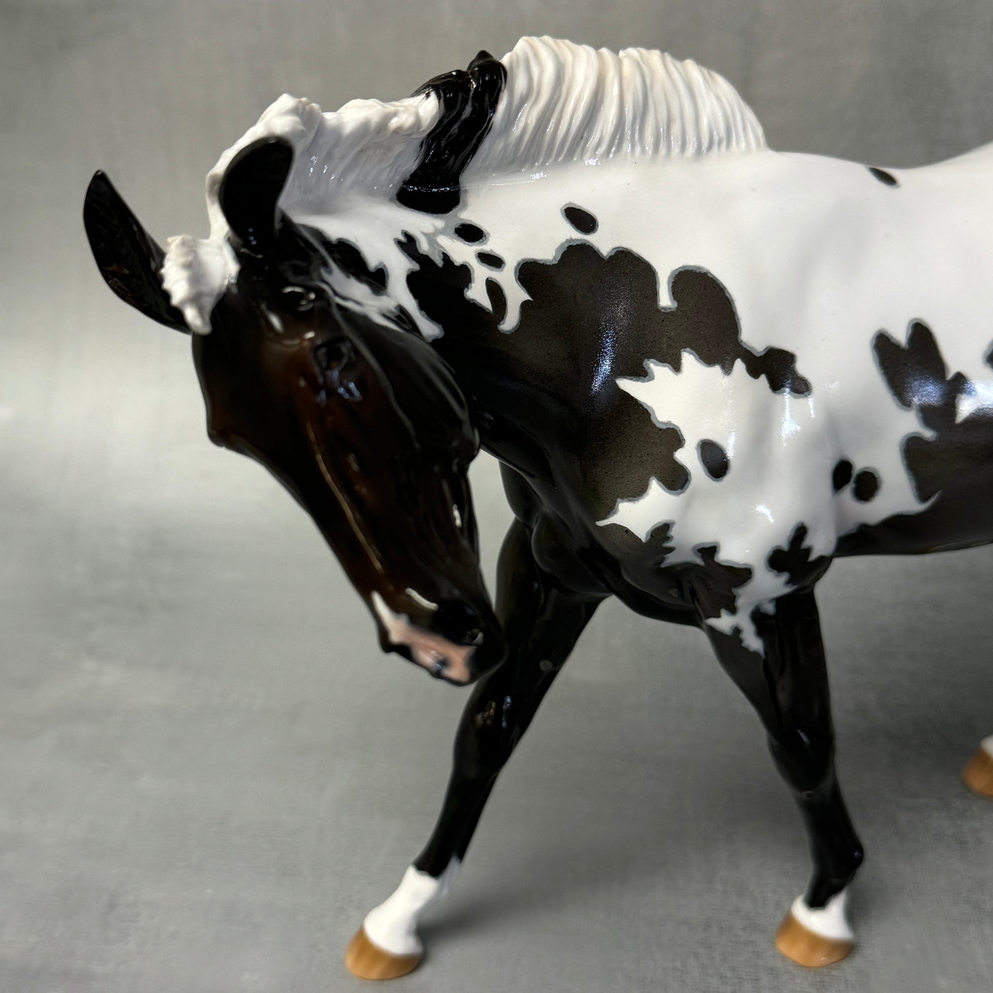 Sprinkles SAMPLE Extreme Custom Pintaloosa Mule By Ashley Palmer - SS824