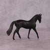 &quot;Oblivion&quot; OOAK Warmblood Chip by Anna Rieck SHCF25OS