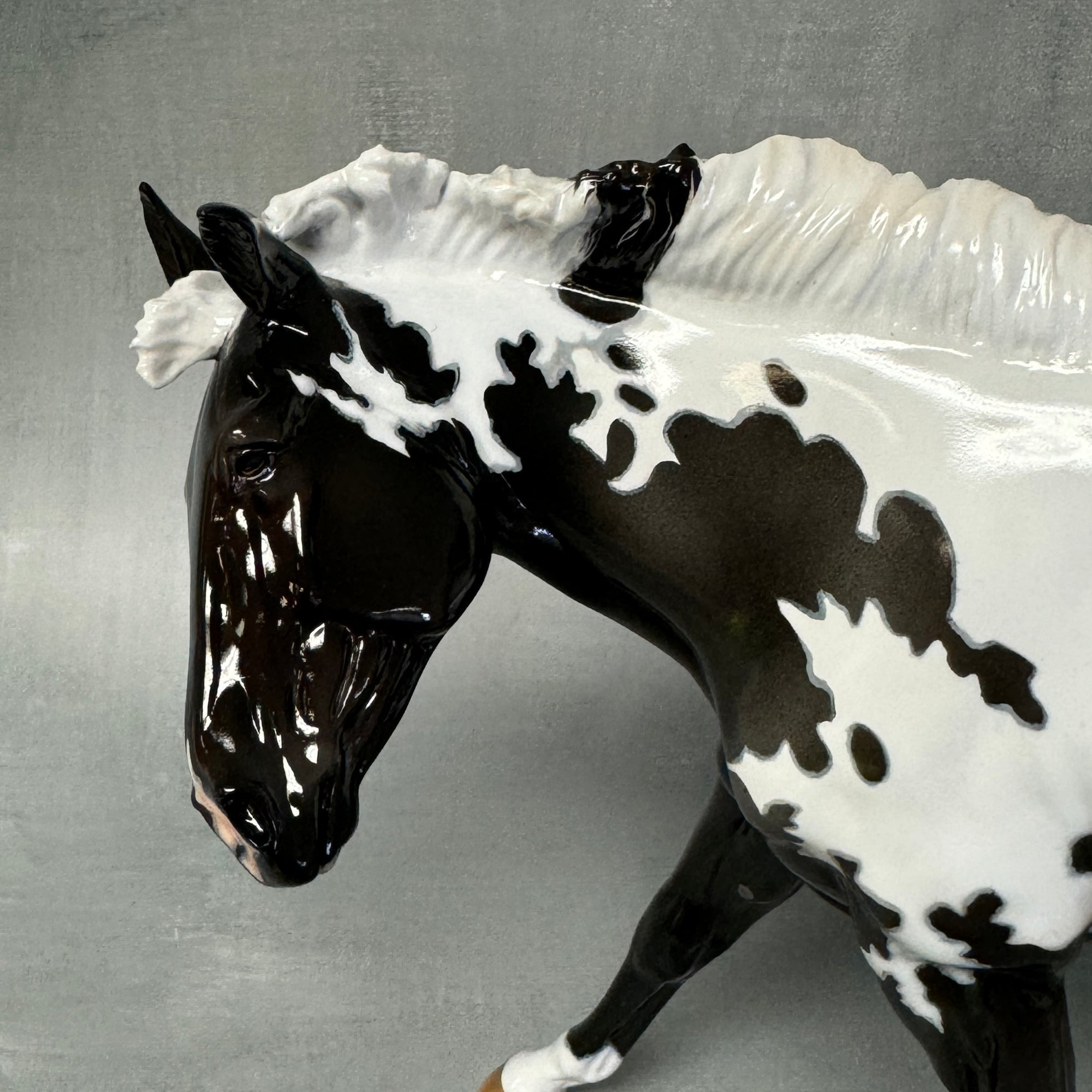 Sprinkles SAMPLE Extreme Custom Pintaloosa Mule By Ashley Palmer - SS824