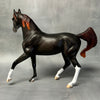 DAH Arab Mare SS824 Sale