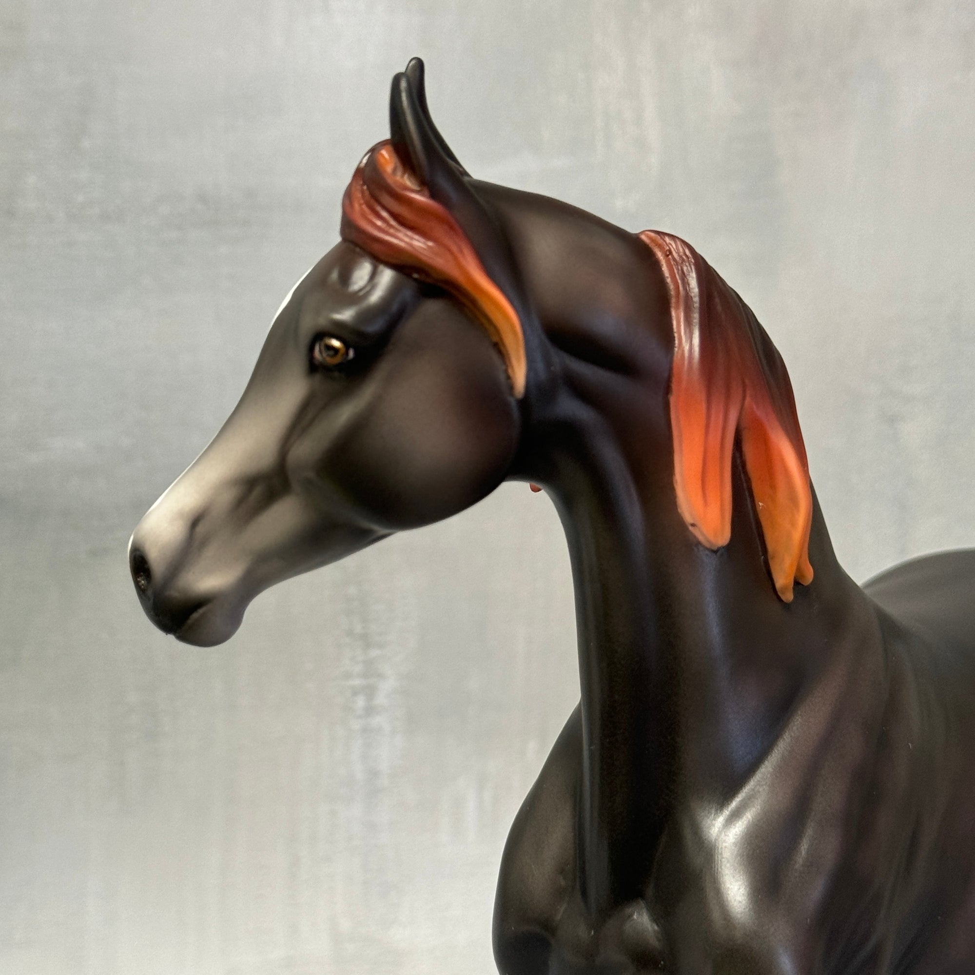 DAH Arab Mare SS824 Sale