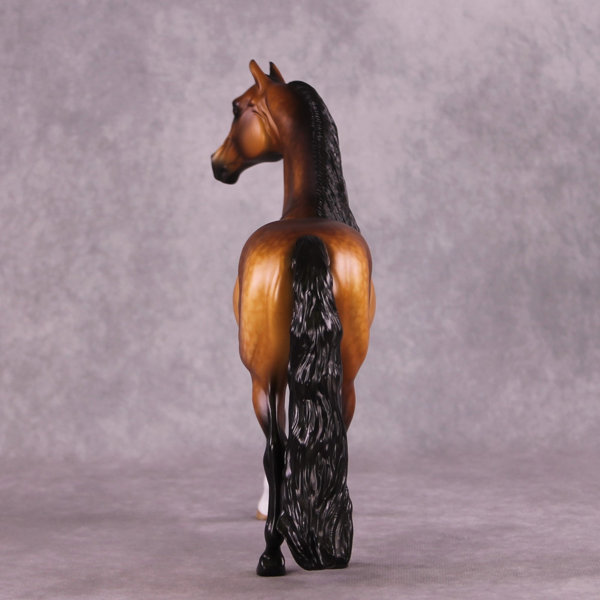 "Falli" OOAK Morgan Stallion by Sheryl Leisure Best Offer 6/10/25