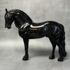 Renaissance SAMPLE Extreme Custom Friesian Andalusian By Jess Hamill SS824