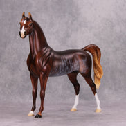 Autumn Chill OOAK Chestnut Rabicano Arabian By Ellen Robbins MM24 MHP Auction Piece