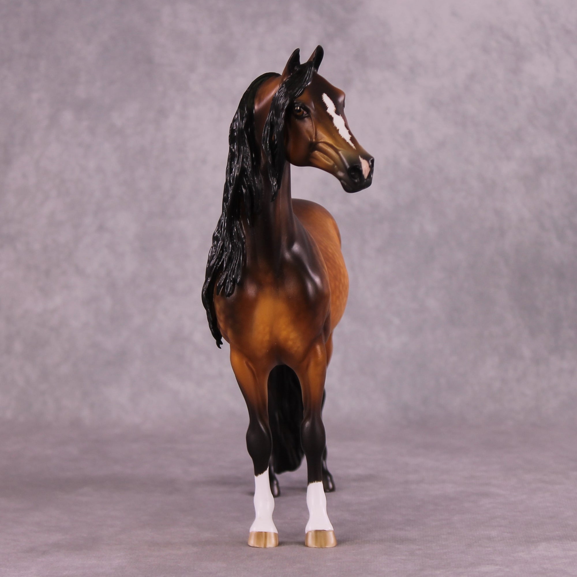 "Falli" OOAK Morgan Stallion by Sheryl Leisure Best Offer 6/10/25