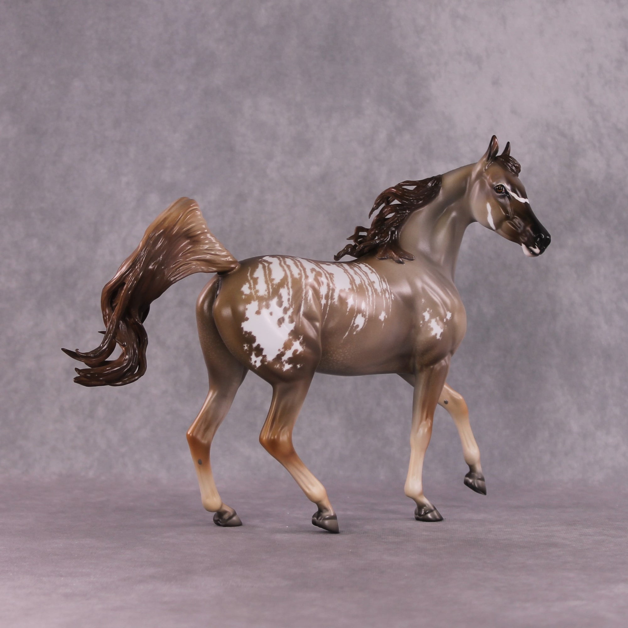 "Singita" OOAK FCM Arab Mare By Jess Hamill SHCF25 Best Offer 5/27/25