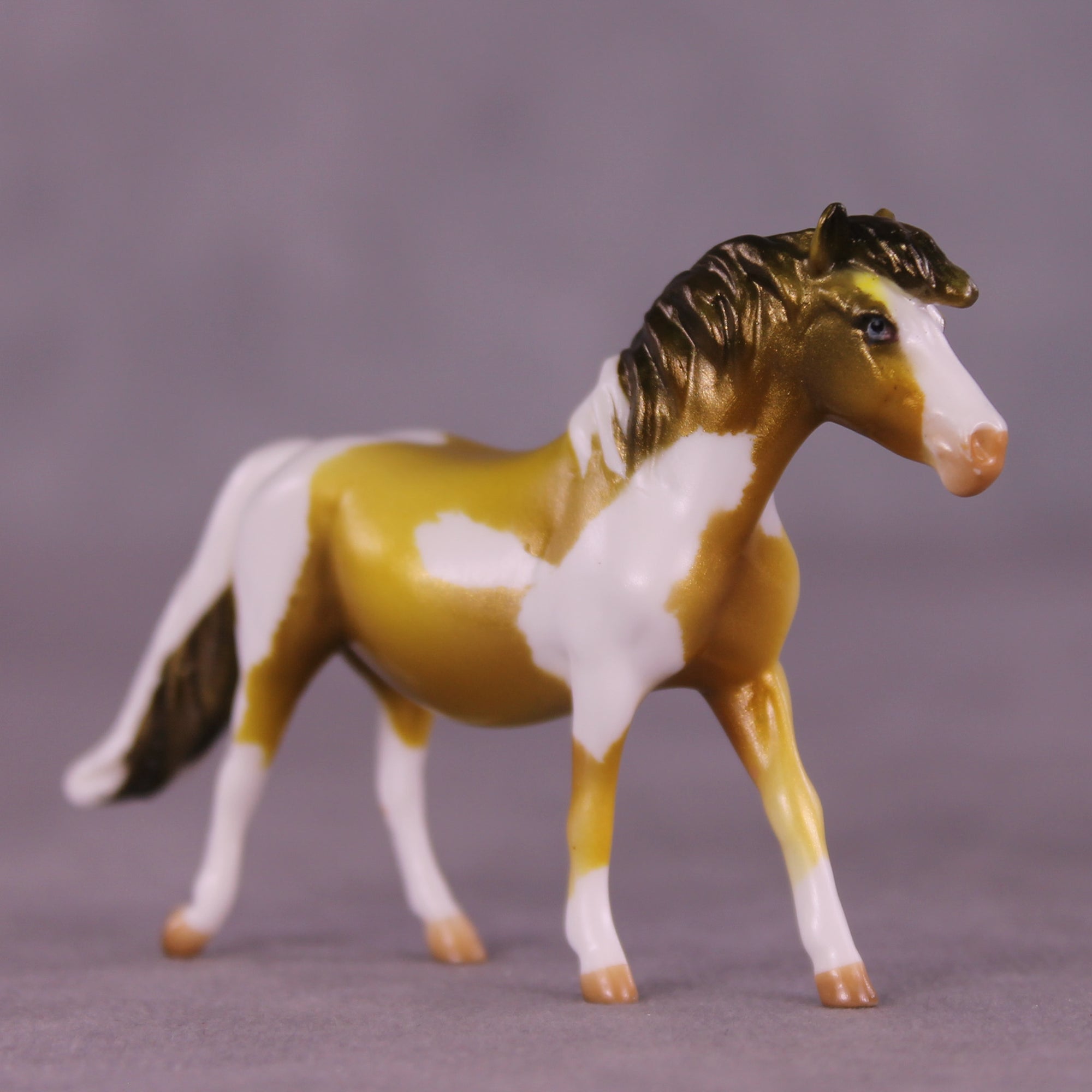 Garbanzo Bean OOAK Chip Pony by Kike (Enrique) Duarte LHS25