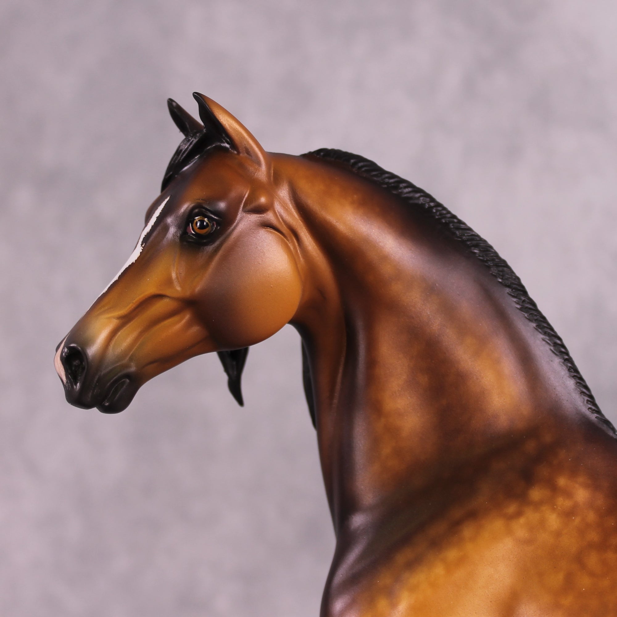 "Falli" OOAK Morgan Stallion by Sheryl Leisure Best Offer 6/10/25