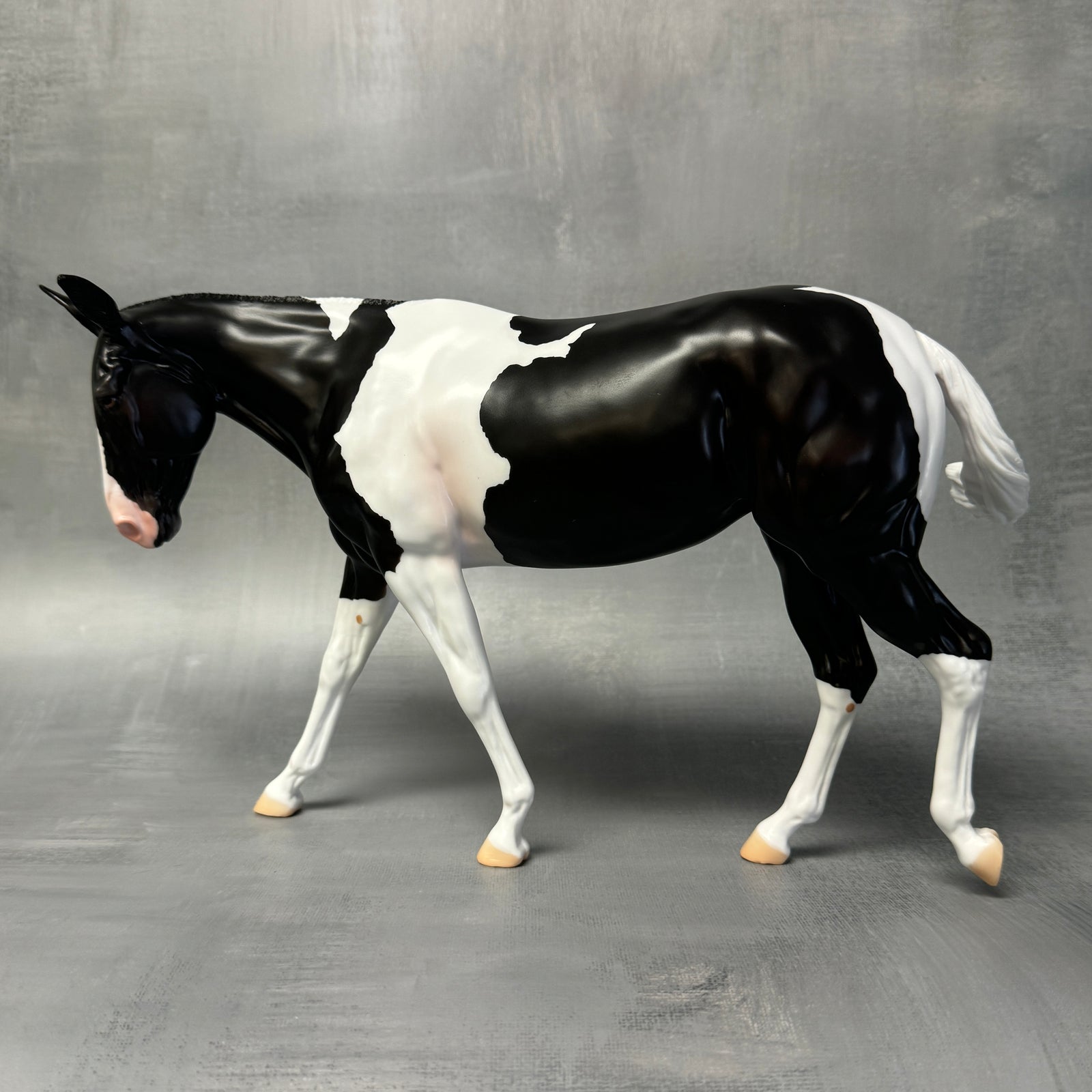 End of Month Sale - Kloissonne Black Tobiano Custom Mule By Angela Marleau SS824