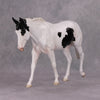 Dappledown Soirée Lady L&#39;Ongears GLOSSY LE-30 Large Mule by Jess Hamill EQ25