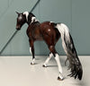 Djakobie OOAK Bay Overo Custom TWH By Jess Hamill SHCF24 BEST OFFER