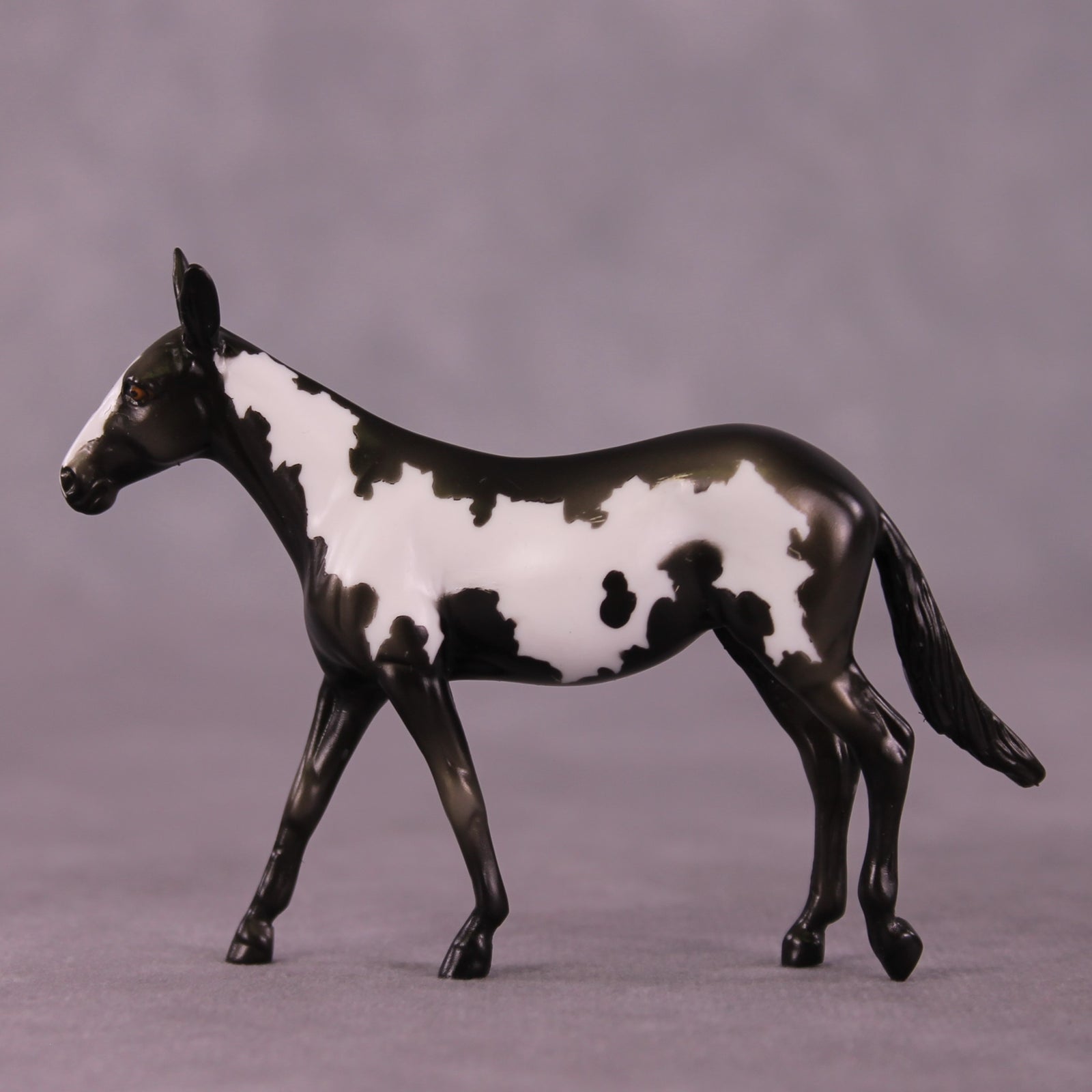 Darjeeling OOAK Mule Chip by Kike Duarte EQ25