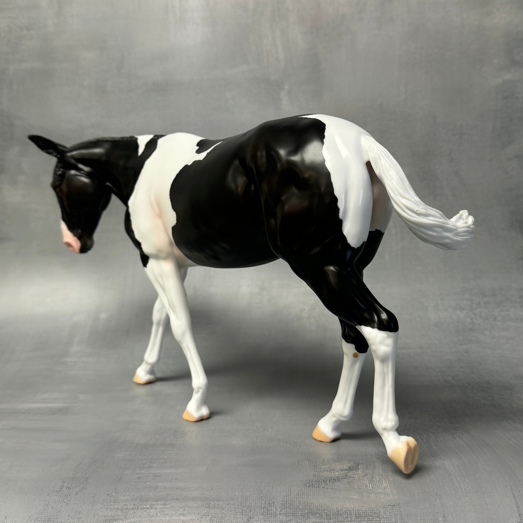 End of Month Sale - Kloissonne Black Tobiano Custom Mule By Angela Marleau SS824
