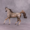 &quot;Singita&quot; OOAK FCM Arab Mare By Jess Hamill SHCF25 Best Offer 5/27/25
