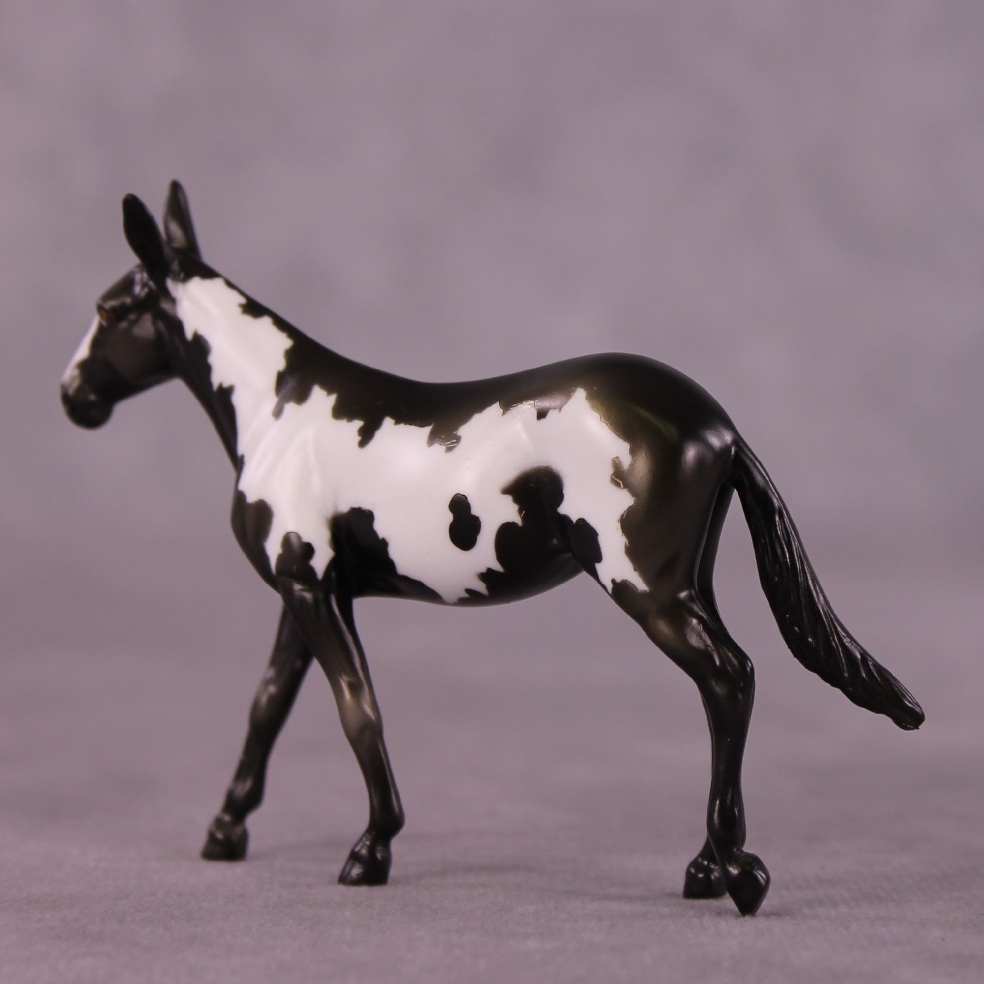 Darjeeling OOAK Mule Chip by Kike Duarte EQ25