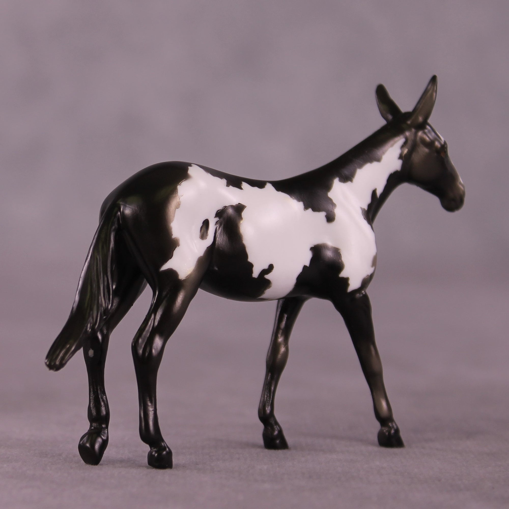 Darjeeling OOAK Mule Chip by Kike Duarte EQ25