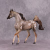 &quot;Singita&quot; OOAK FCM Arab Mare By Jess Hamill SHCF25 Best Offer 5/27/25
