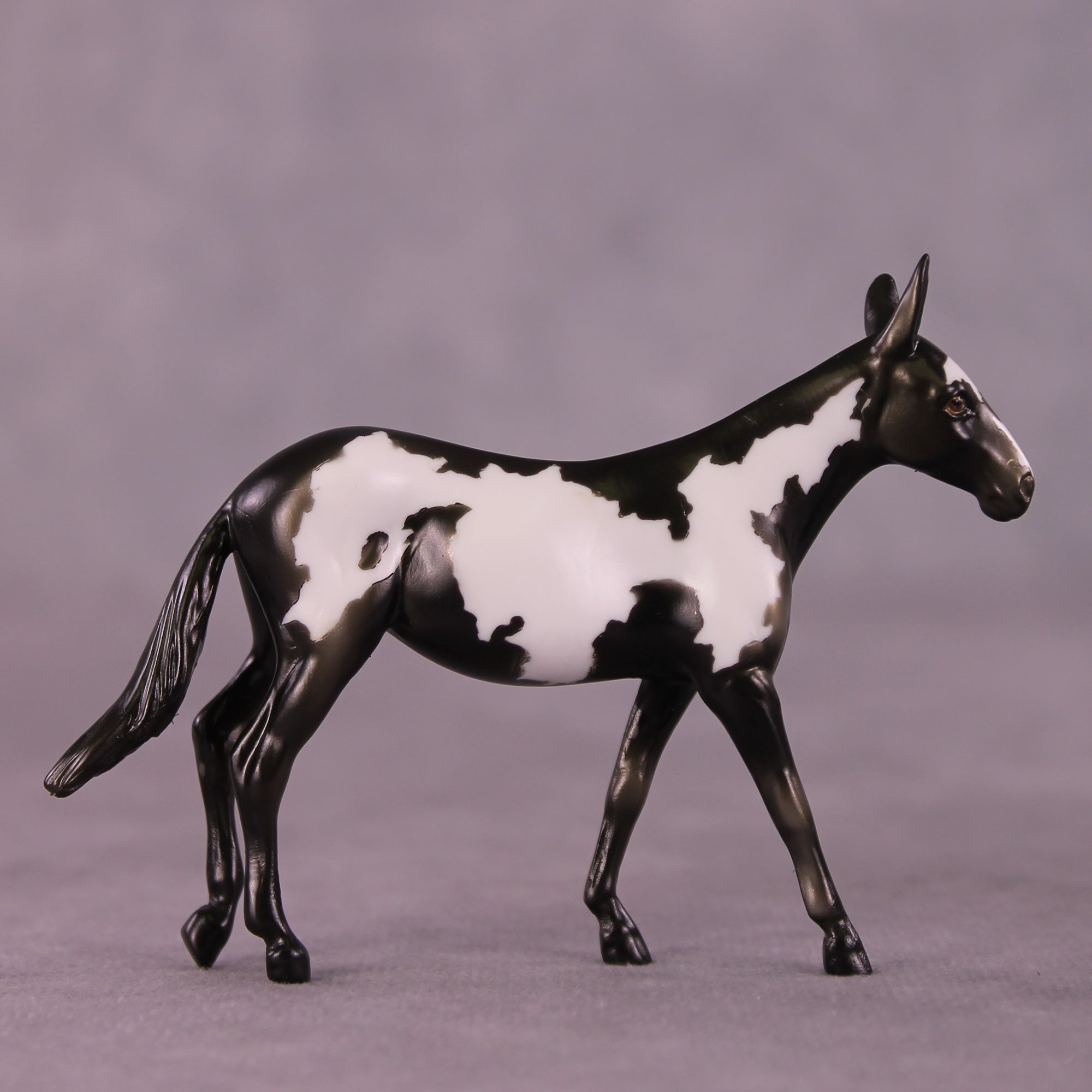 Darjeeling OOAK Mule Chip by Kike Duarte EQ25