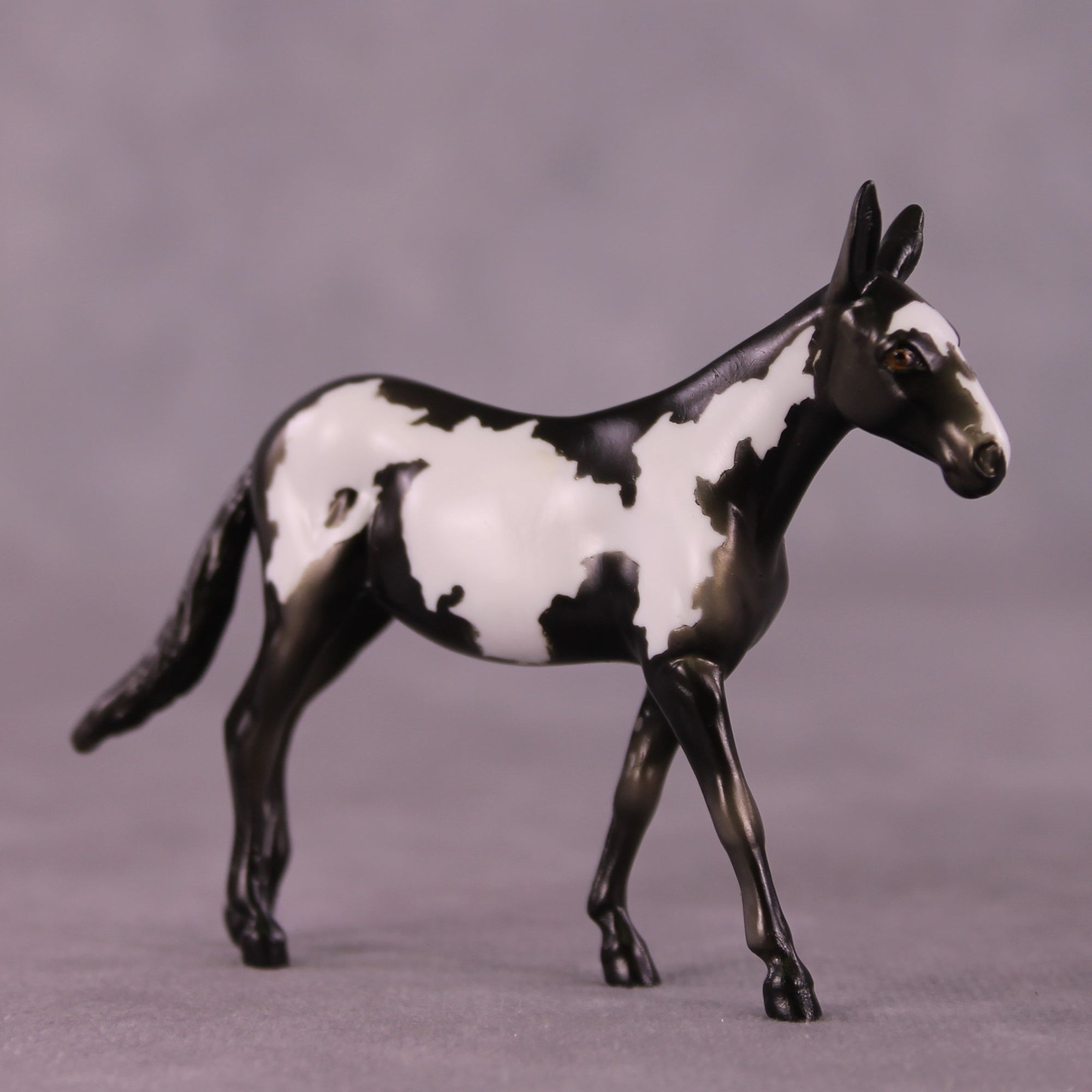 Darjeeling OOAK Mule Chip by Kike Duarte EQ25