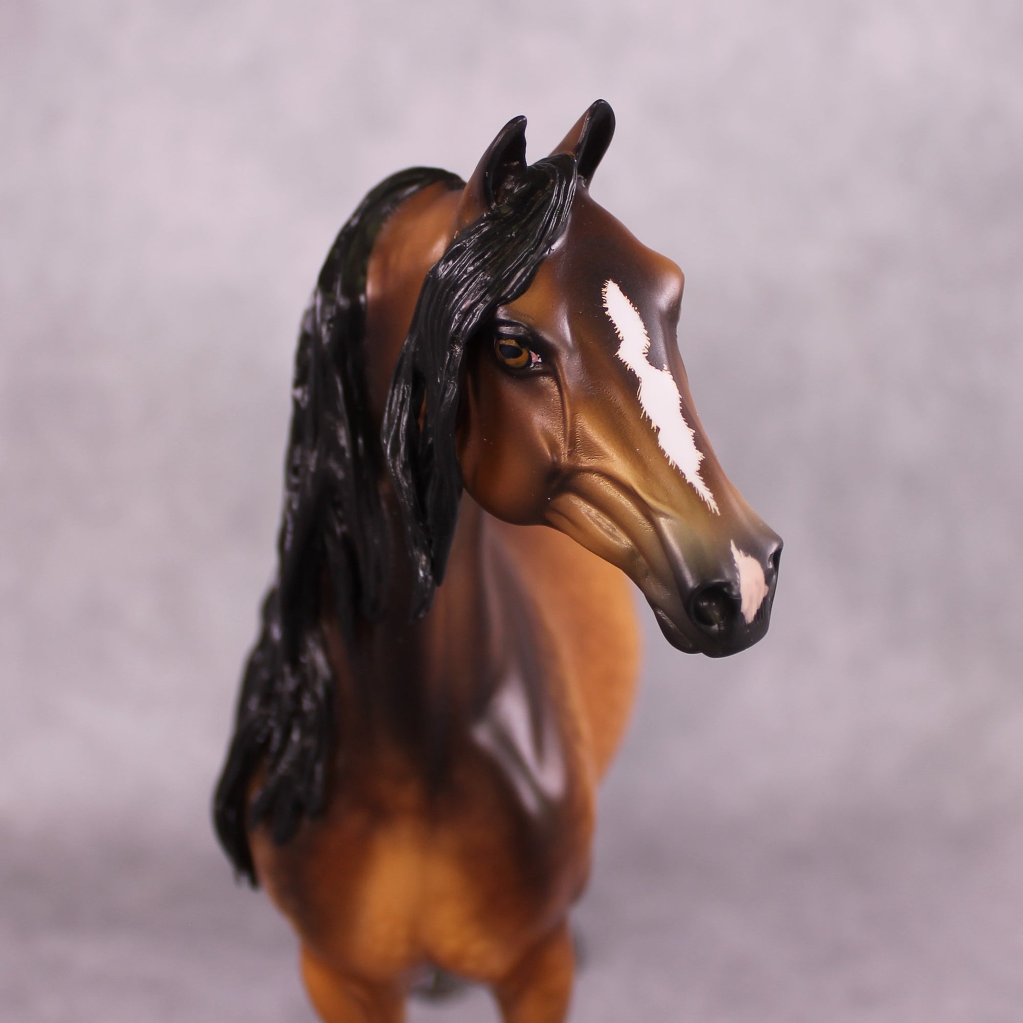 "Falli" OOAK Morgan Stallion by Sheryl Leisure Best Offer 6/10/25
