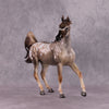 &quot;Singita&quot; OOAK FCM Arab Mare By Jess Hamill SHCF25 Best Offer 5/27/25