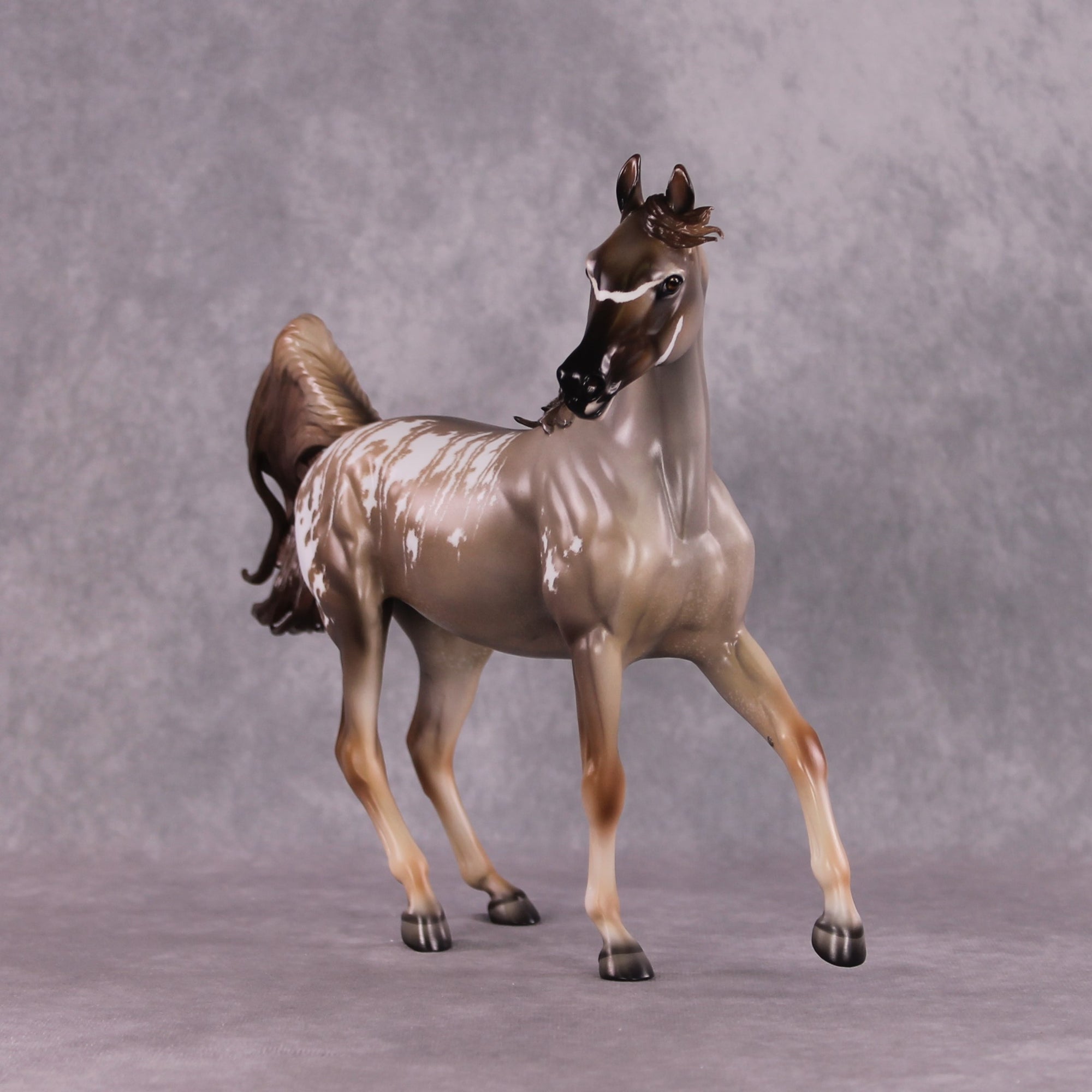 "Singita" OOAK FCM Arab Mare By Jess Hamill SHCF25 Best Offer 5/27/25