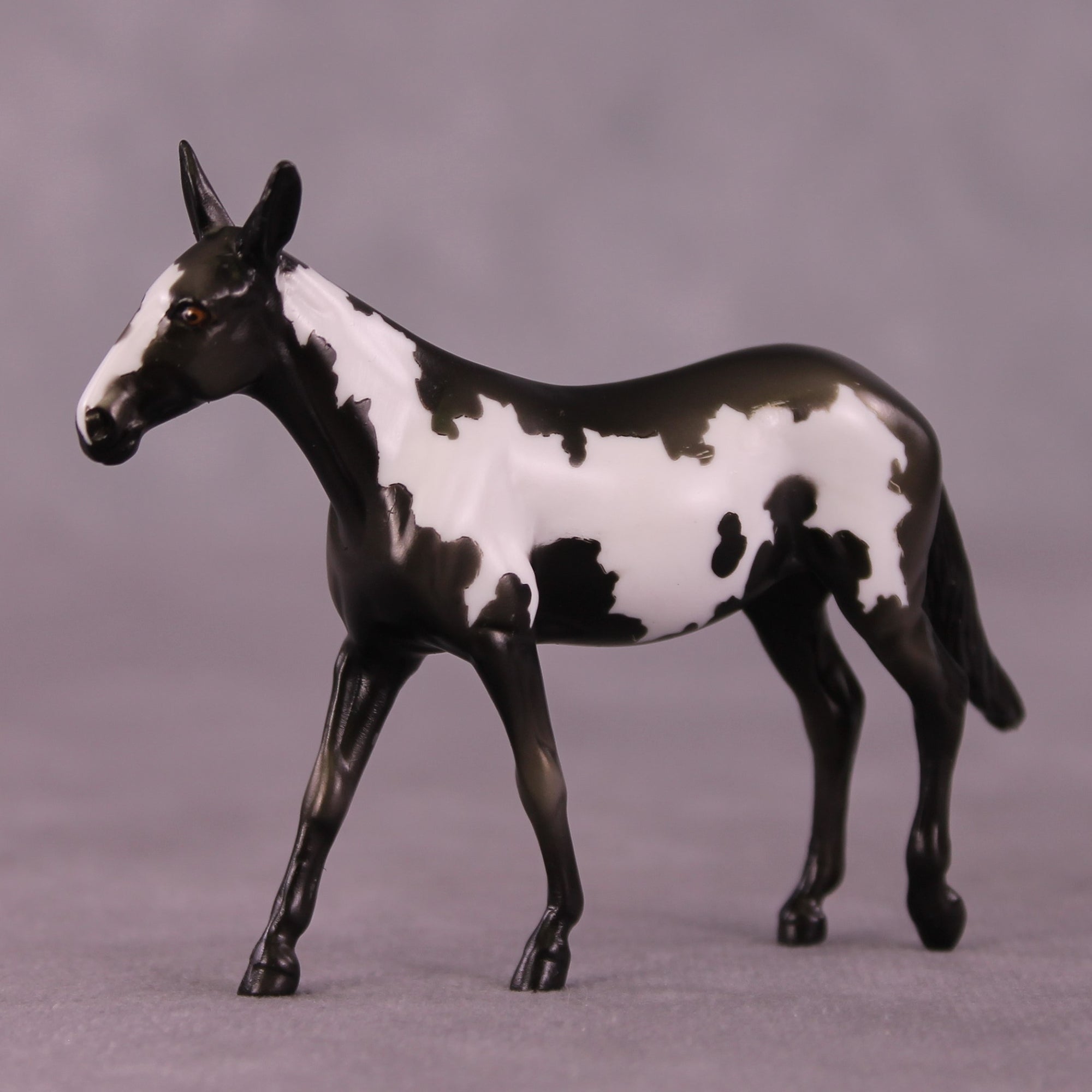 Darjeeling OOAK Mule Chip by Kike Duarte EQ25