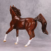 Preview Listing Only Dancer OOAK Chestnut Arab Mare By Jamie Adamson MM24