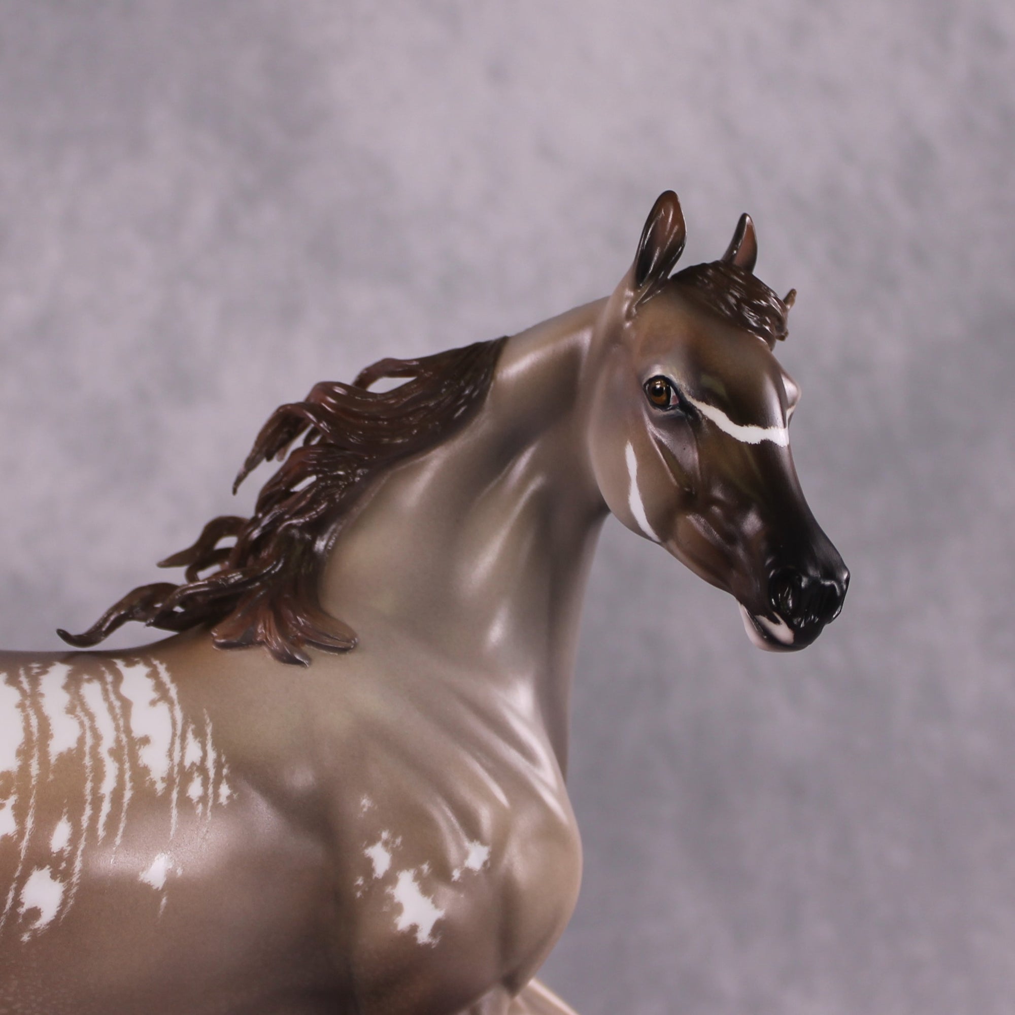 "Singita" OOAK FCM Arab Mare By Jess Hamill SHCF25 Best Offer 5/27/25