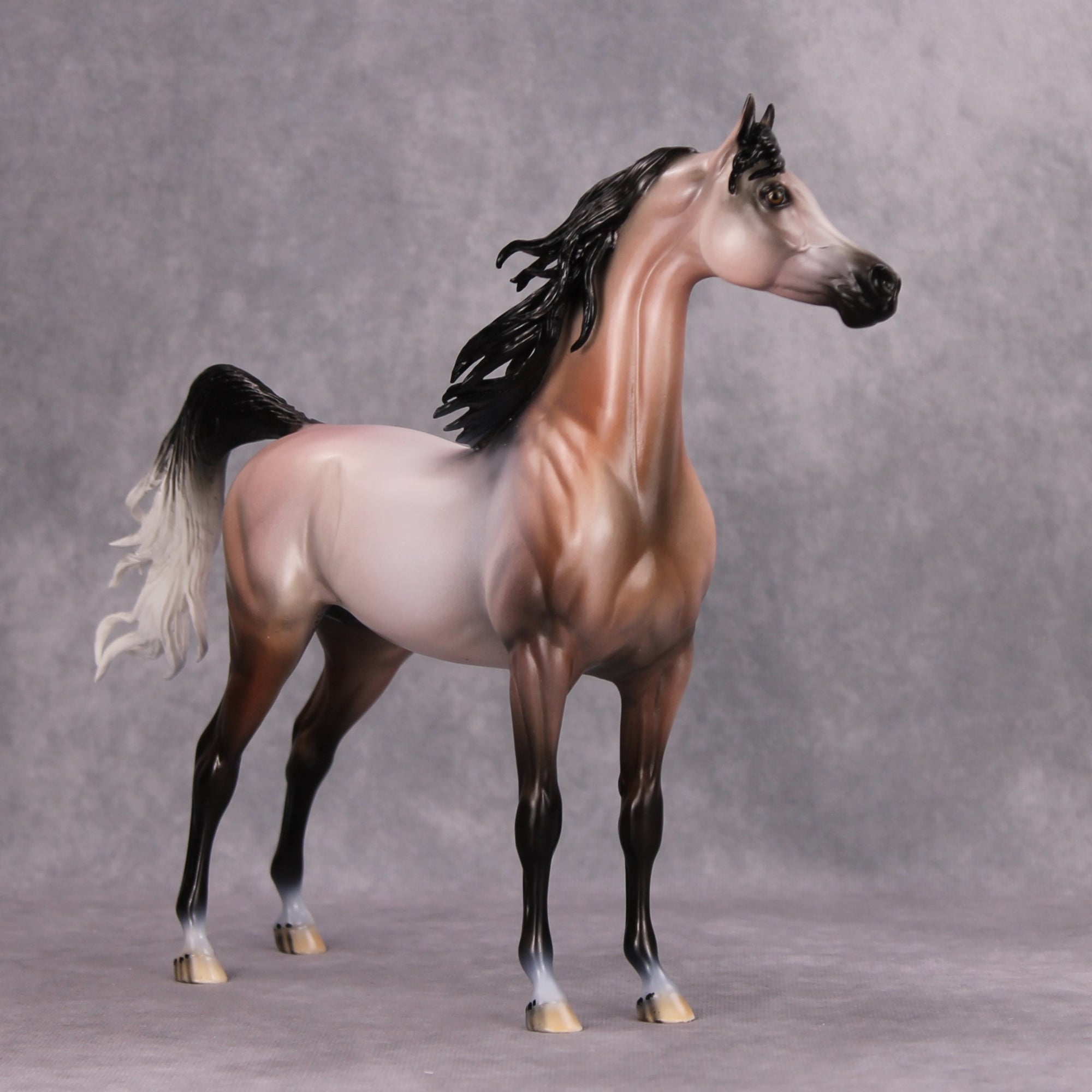Wind Dancer OOAK Rose Grey Custom Arabian By Dawn Quick MM24