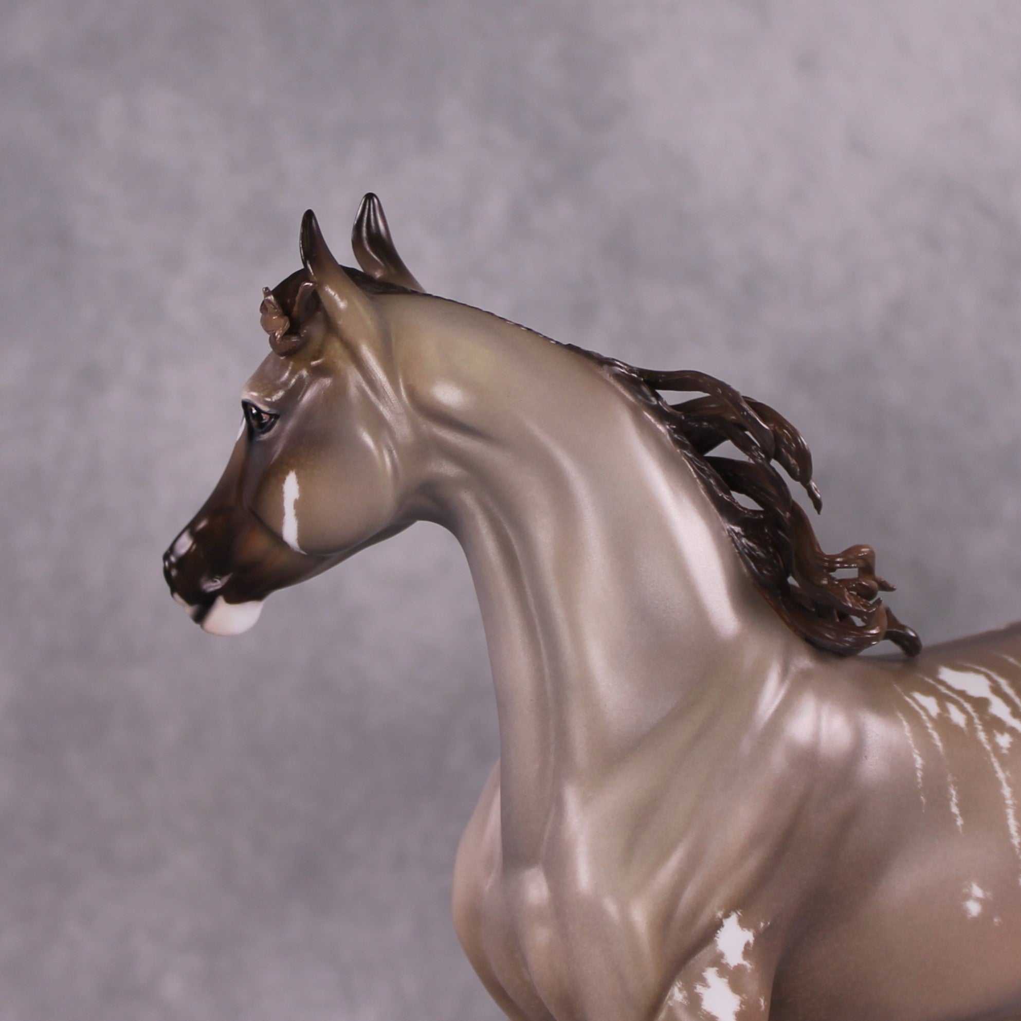 "Singita" OOAK FCM Arab Mare By Jess Hamill SHCF25 Best Offer 5/27/25