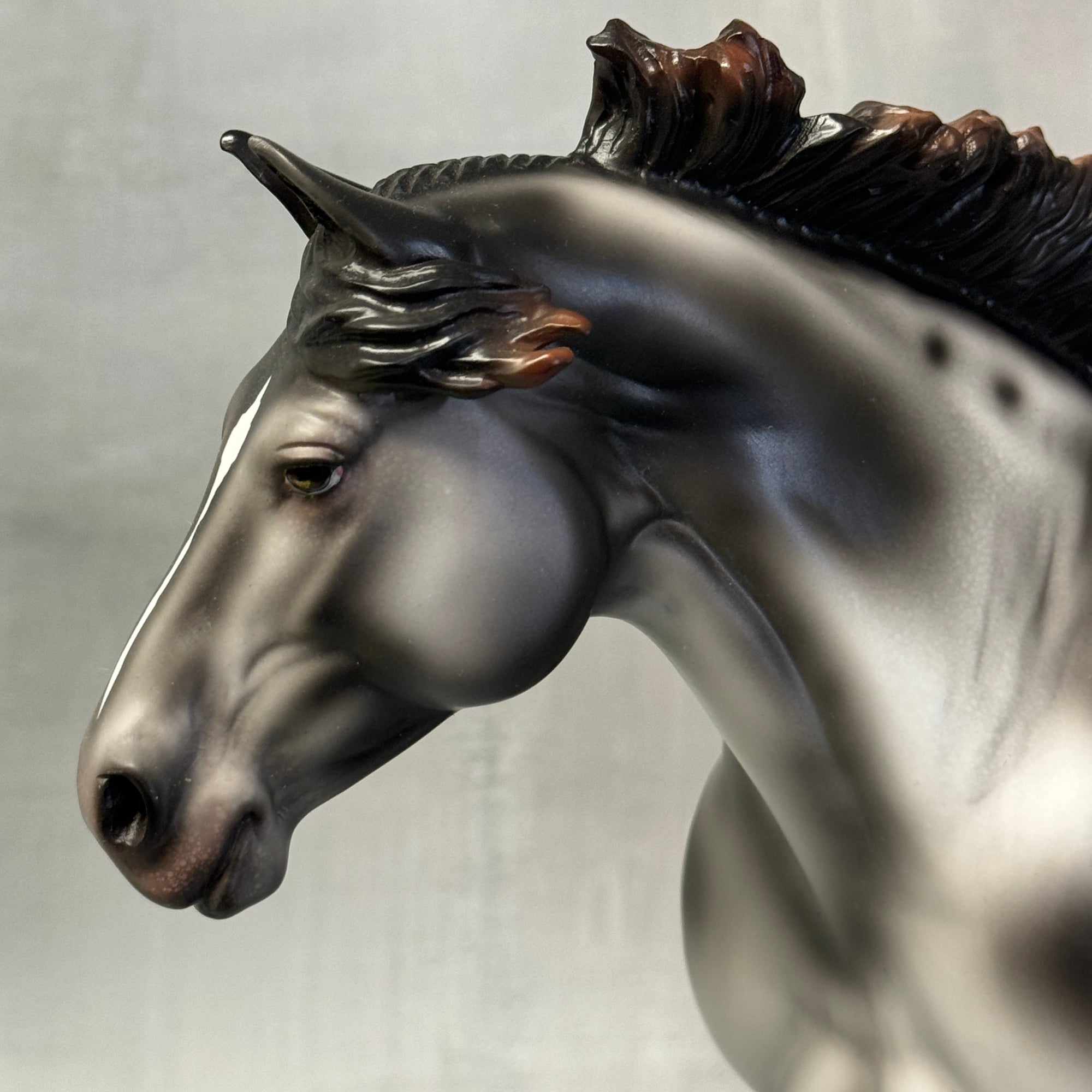 Sample Black Varnish Appy Heavy Draft Loyalty Release Loyalty Club 23/24 SS824