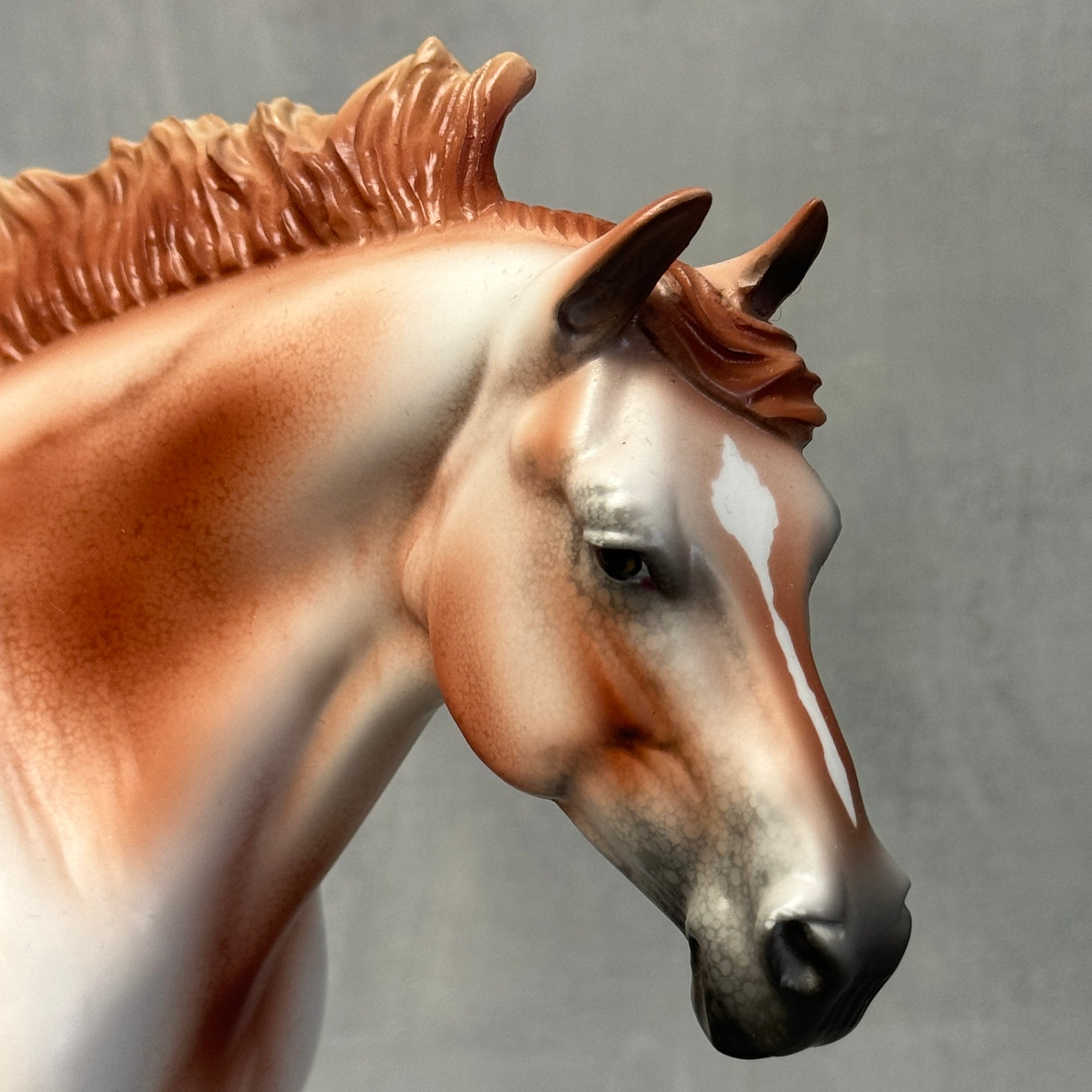 SAMPLE Chestnut Varnish Appy Heavy Draft Loyalty Release Loyalty Club 23/24 SS824