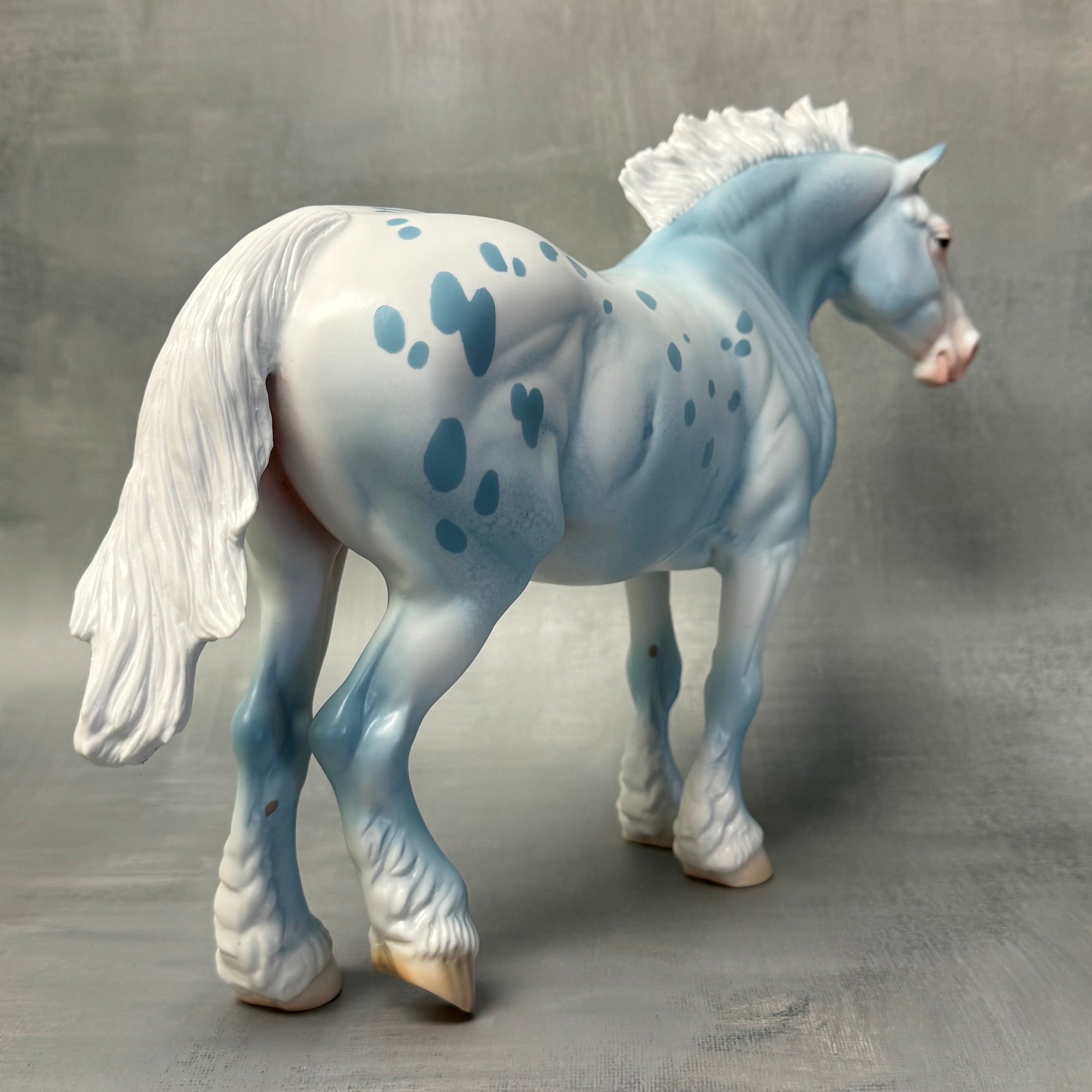 Sample Blue Appaloosa Heavy Draft Loyalty Release Loyalty Club 23/24 SS824