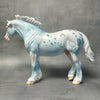 Sample Blue Appaloosa Heavy Draft Loyalty Release Loyalty Club 23/24 SS824