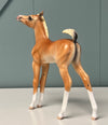 Sabrina OOAK Flaxen Chestnut Custom Arab Foal By Tiffany Purdy SHCF24 BEST OFFER