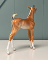 Sabrina OOAK Flaxen Chestnut Custom Arab Foal By Tiffany Purdy SHCF24 BEST OFFER