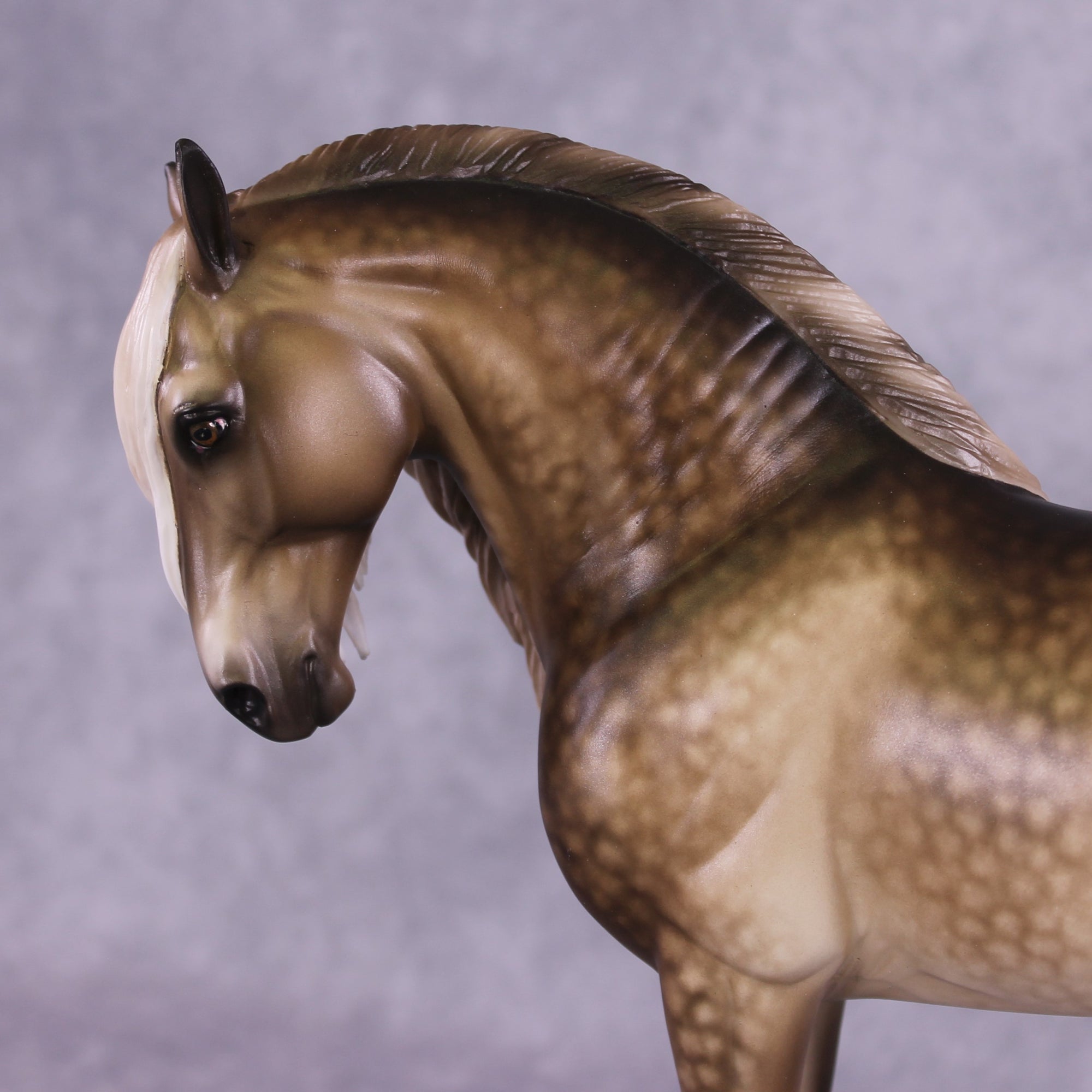 "Fulvous" OOAK FCM Andalusian by Sheryl Leisure Best Offer 6/18/25