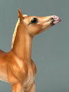 Sabrina OOAK Flaxen Chestnut Custom Arab Foal By Tiffany Purdy SHCF24 BEST OFFER