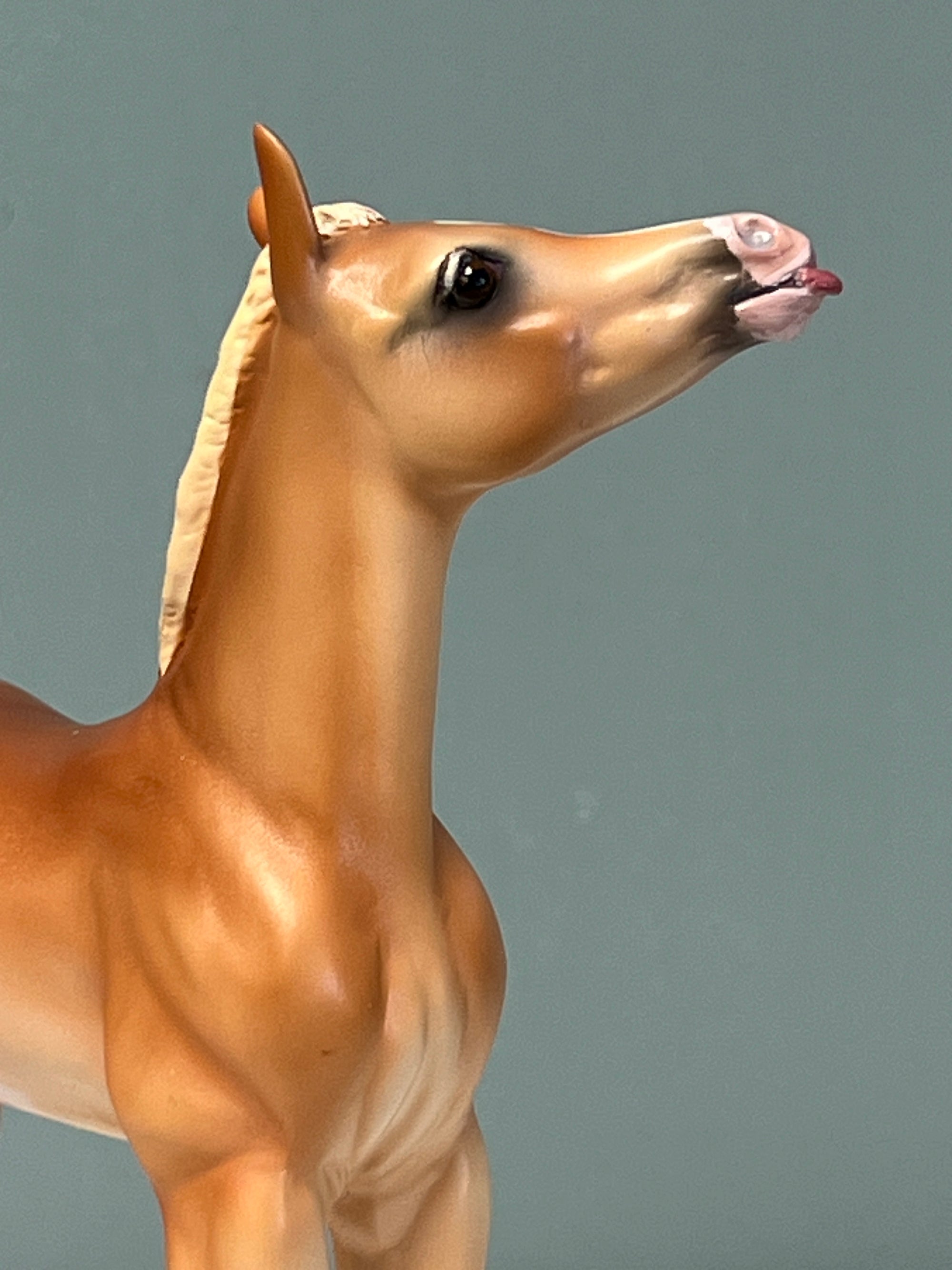 Sabrina OOAK Flaxen Chestnut Custom Arab Foal By Tiffany Purdy SHCF24 BEST OFFER