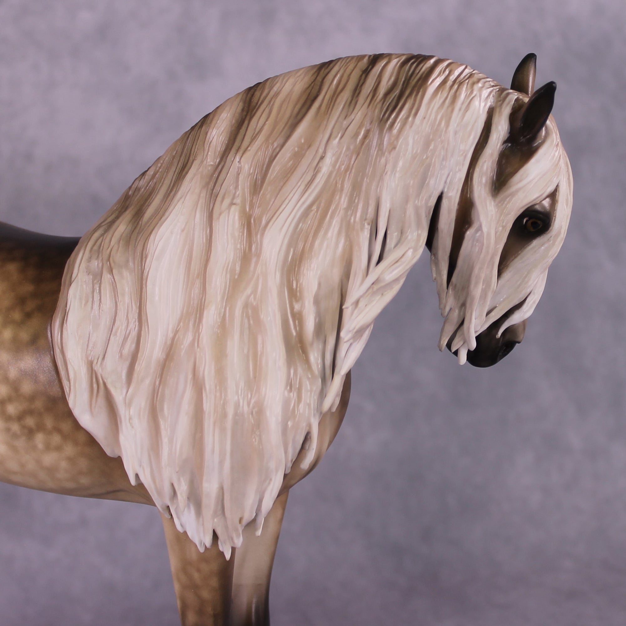 "Fulvous" OOAK FCM Andalusian by Sheryl Leisure Best Offer 6/18/25