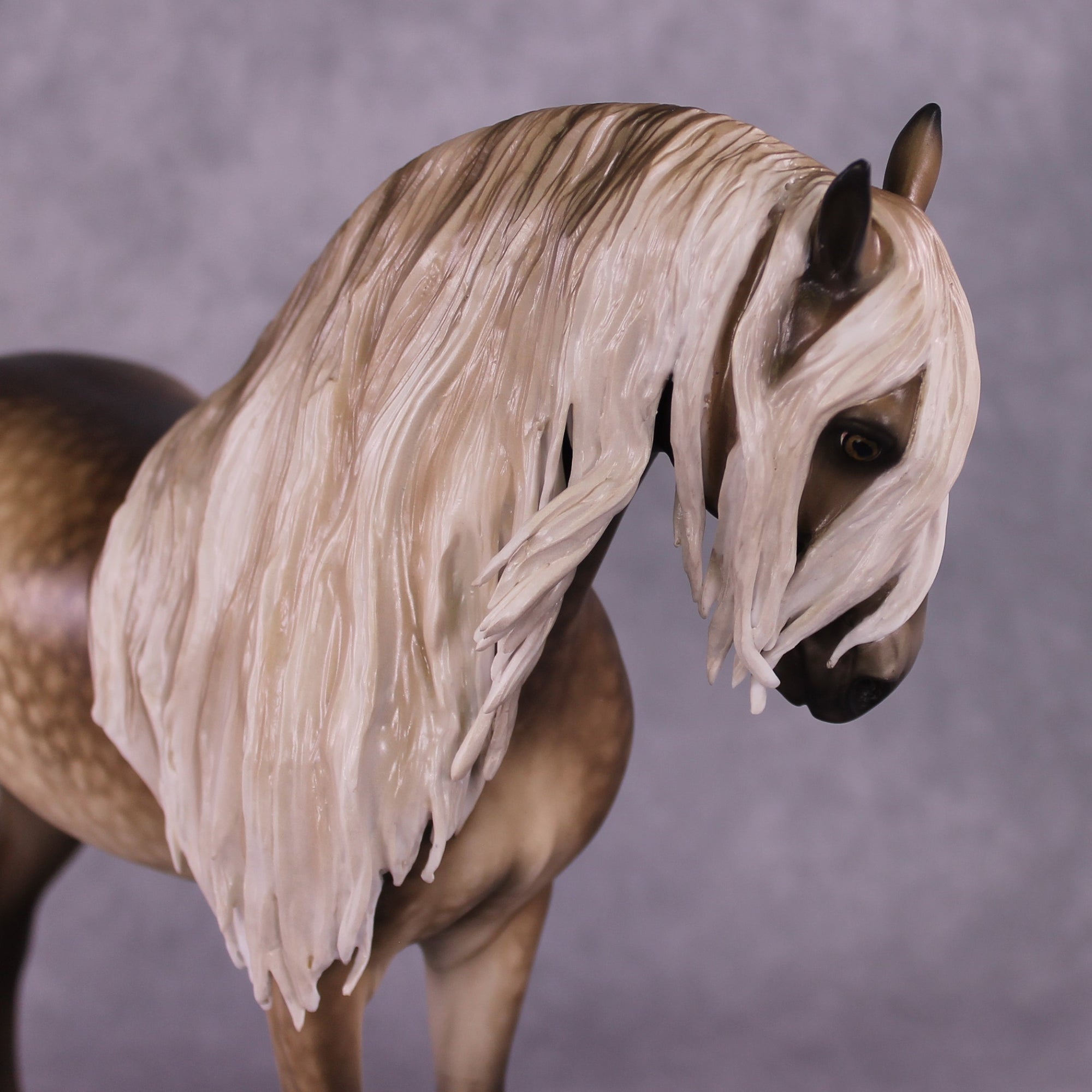 "Fulvous" OOAK FCM Andalusian by Sheryl Leisure Best Offer 6/18/25
