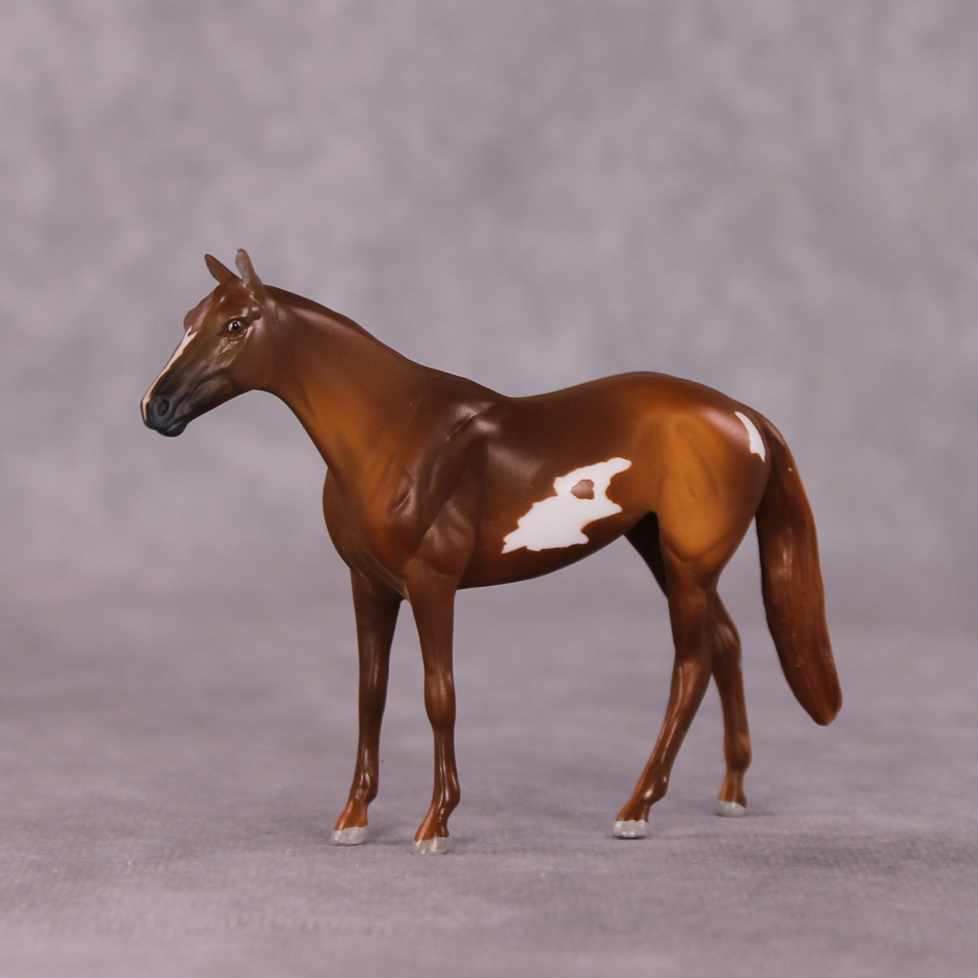 "Scintilla" OOAK Thoroughbred Chip by Anna Rieck SHCF25OS