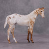 Preview Listing Only Pinch of Nutmeg OOAK Pearl Chestnut Leopard Appy Weanling By Ellen Robbins MM24 Online Drawing Piece